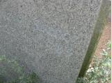 image of grave number 772049